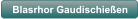 Blasrhor Gaudischie�en