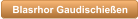 Blasrhor Gaudischie�en